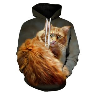 3D Printed Women Fleece Hoodie with Ginger Cat