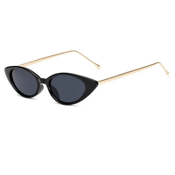 fashion sunglasses black