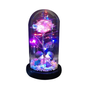 Eternal Rose in Glass Flask Best Valentine’s Day Gift