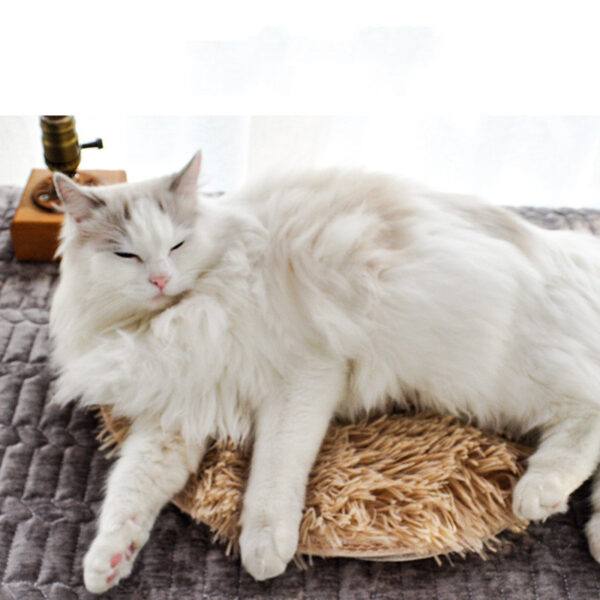 Waterproof Electric Mat for Pet - Image 3