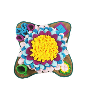 Multipurpose Eco-Friendly Training Mat for Pet