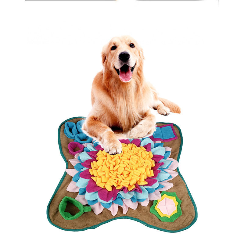Training Mat for Pet