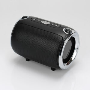 Portable Wireless Speaker Featuring a Plug-In Subwoofer