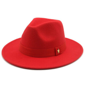 Stylish Unisex Monochrome Wide Brim Fedora Hat