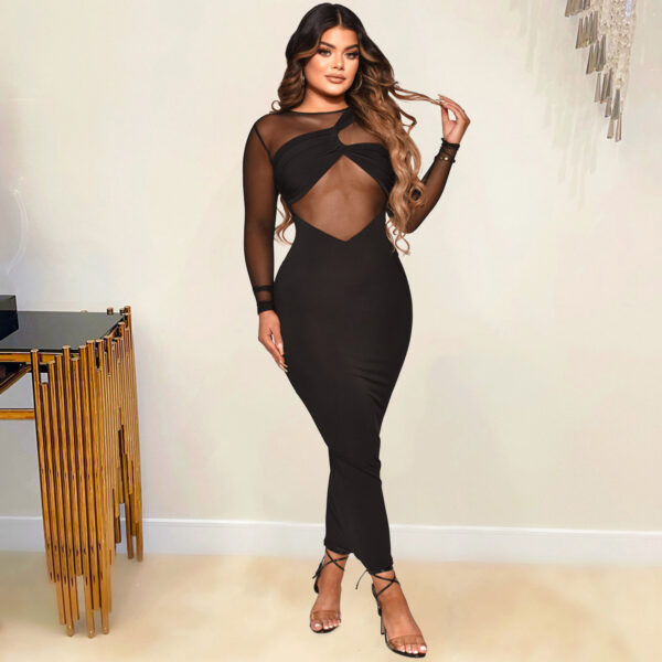 Women's Sheer Silk Dress - Image 2