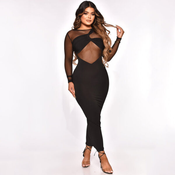 Women's Sheer Silk Dress - Image 4