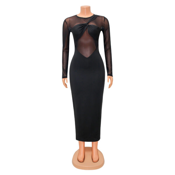 Women's Sheer Silk Dress - Image 5