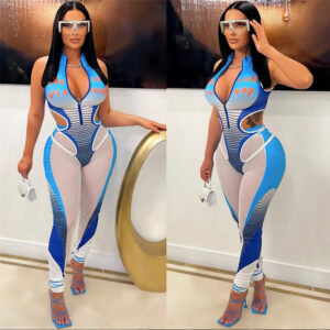 Elegant Sheer Mesh Hollow Out Jumpsuit for Women