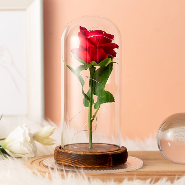 Enchanted Rose
