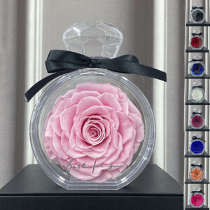 XXL Naturally Preserved Large Forever Rose in Acrylic Perfume Bottle Box – A Timeless Gift