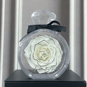 XXL Naturally Preserved Large Forever Rose in Acrylic Perfume Bottle Box – A Timeless Gift